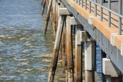 Mozambique Island bridge