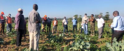 Rehabilitation of the Existing Infulene Wastewater Treatment Plant in Maputo